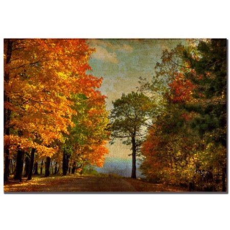 Lois Bryan 'Autumn On The Mountain' Canvas Art,16x24